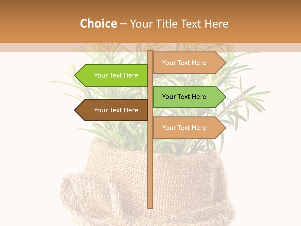 Remedy Bow Hessian PowerPoint Template