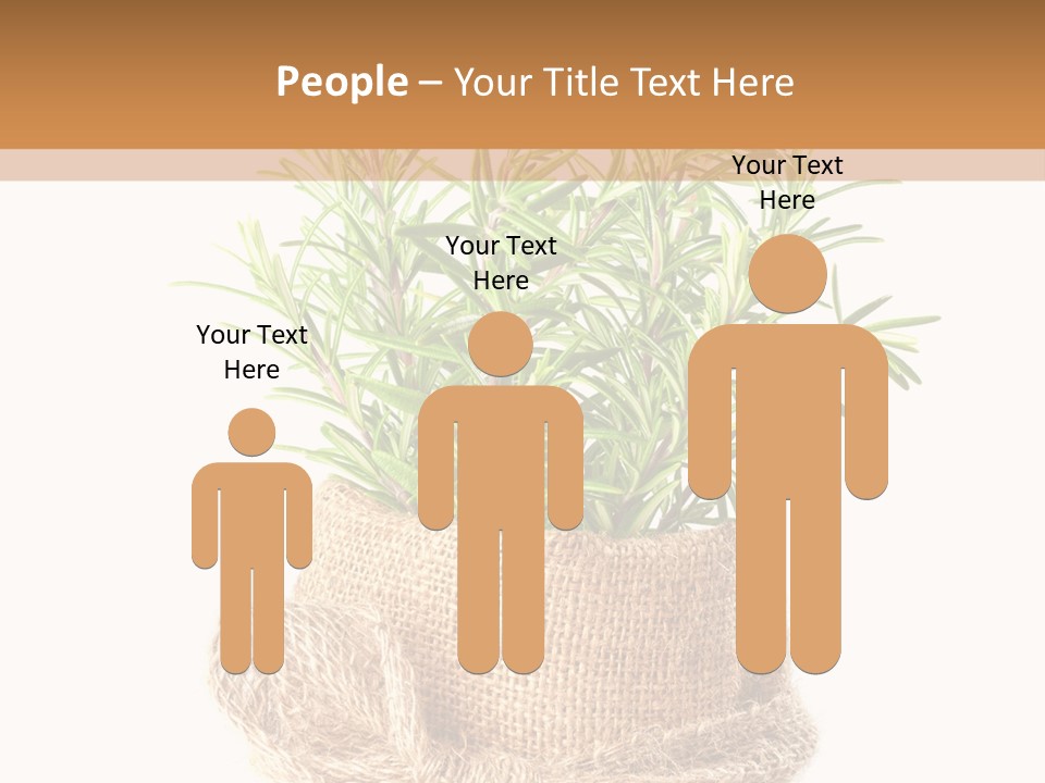 Remedy Bow Hessian PowerPoint Template