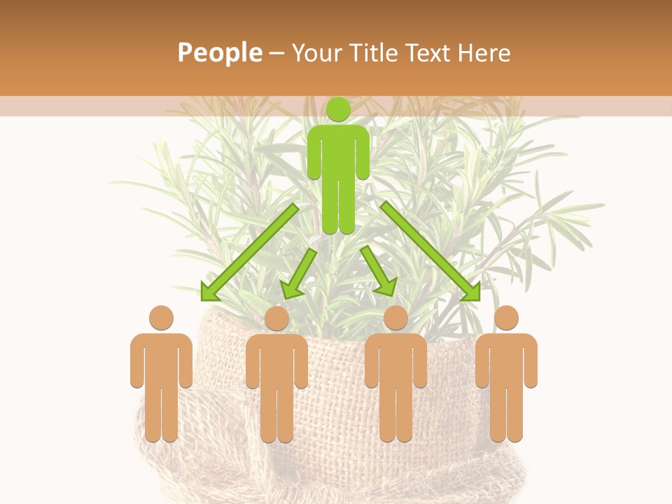 Remedy Bow Hessian PowerPoint Template