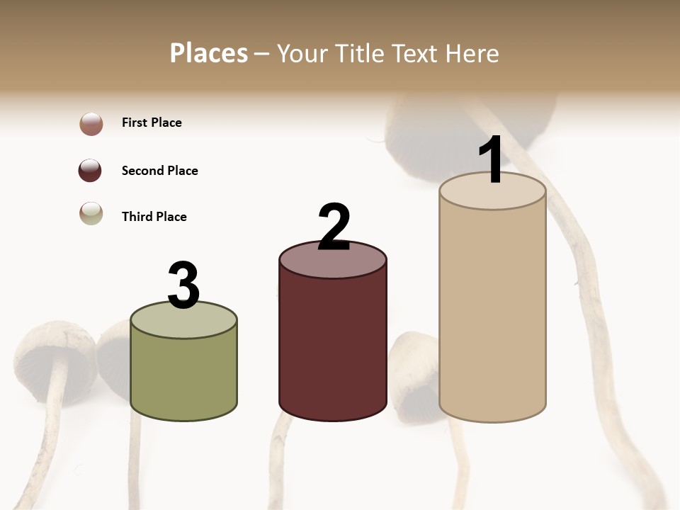 Fir Fungi Ritual PowerPoint Template