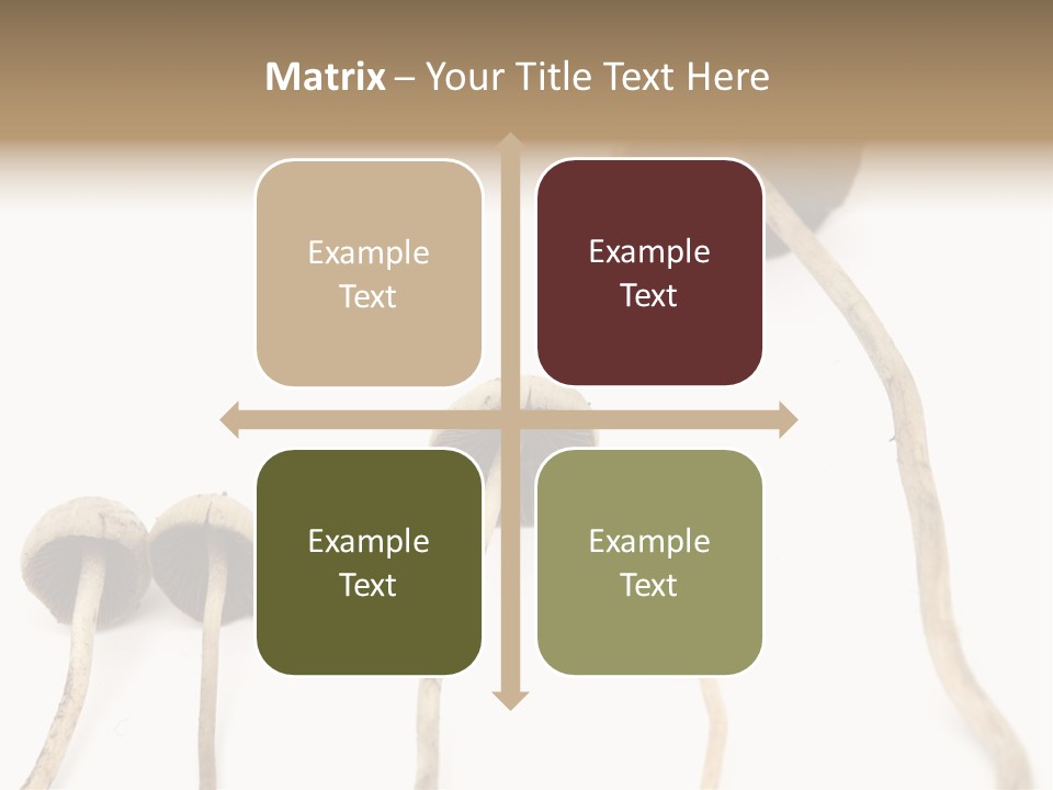 Fir Fungi Ritual PowerPoint Template