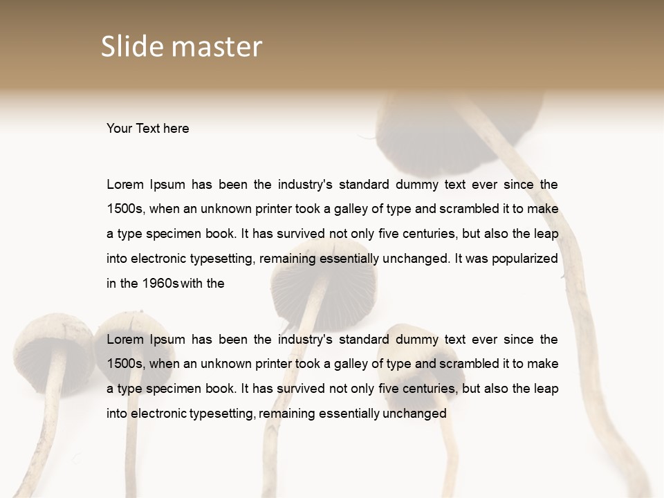 Fir Fungi Ritual PowerPoint Template