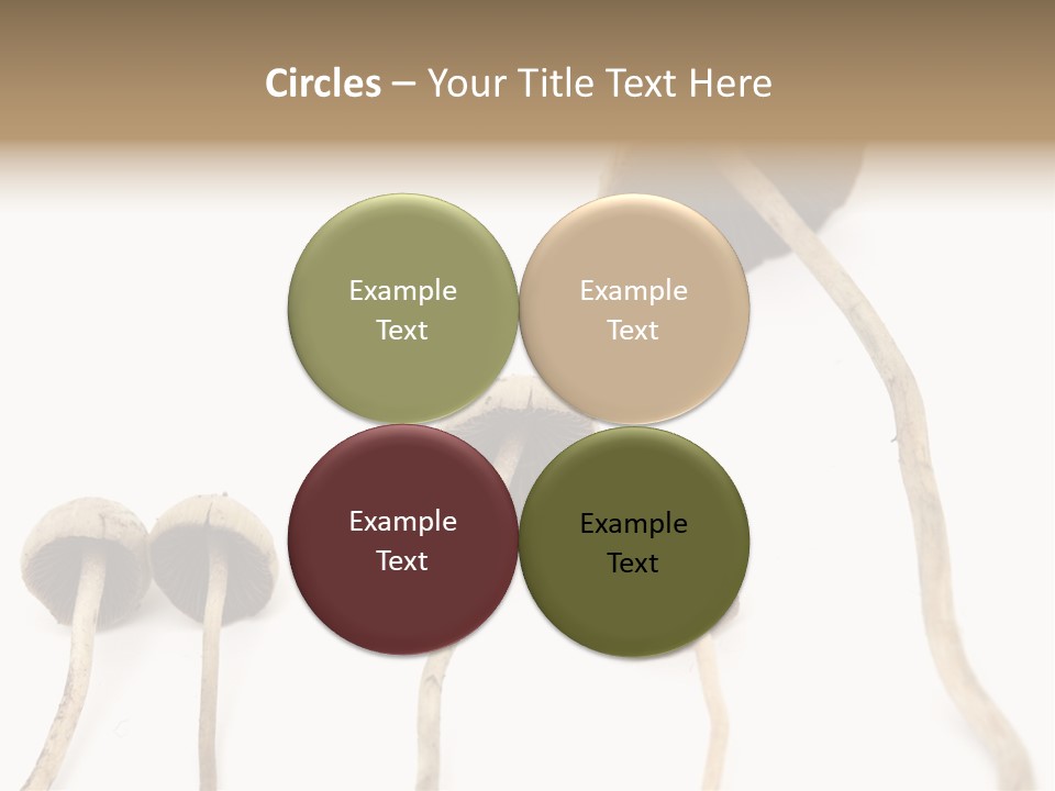 Fir Fungi Ritual PowerPoint Template