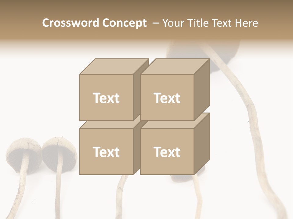 Fir Fungi Ritual PowerPoint Template