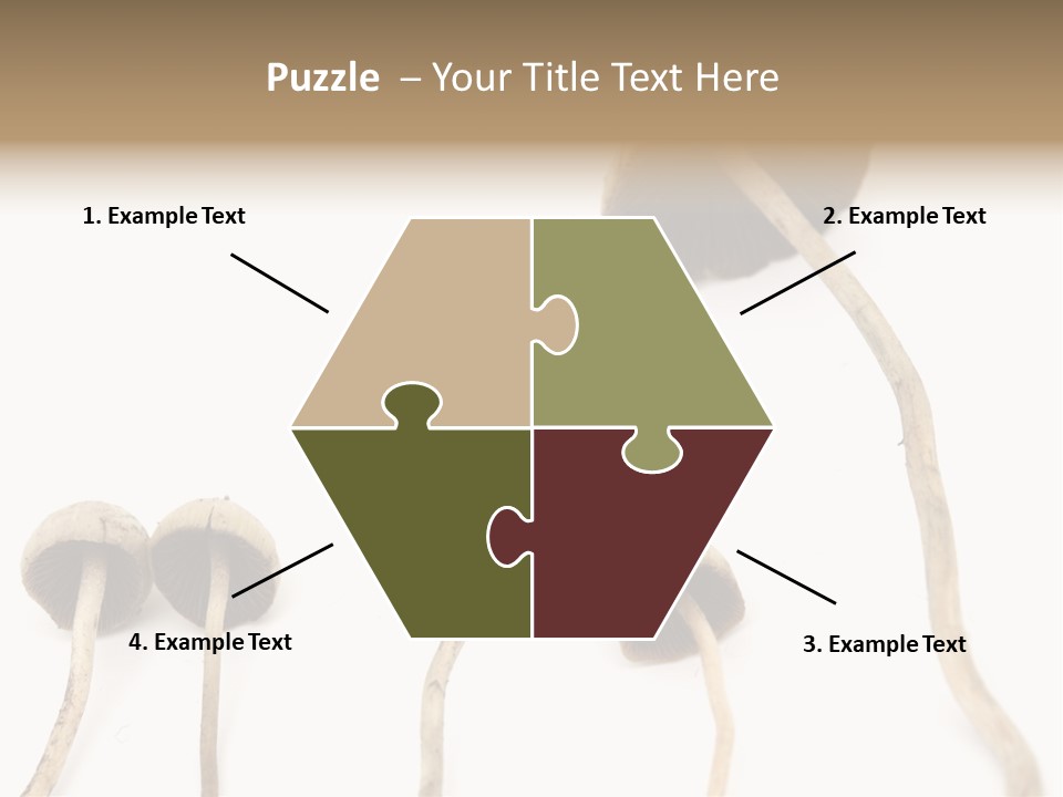 Fir Fungi Ritual PowerPoint Template