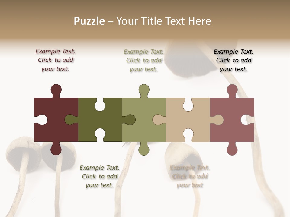 Fir Fungi Ritual PowerPoint Template