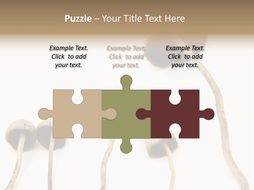 Fir Fungi Ritual PowerPoint Template