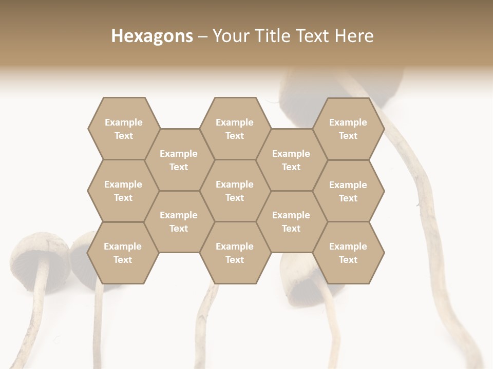 Fir Fungi Ritual PowerPoint Template