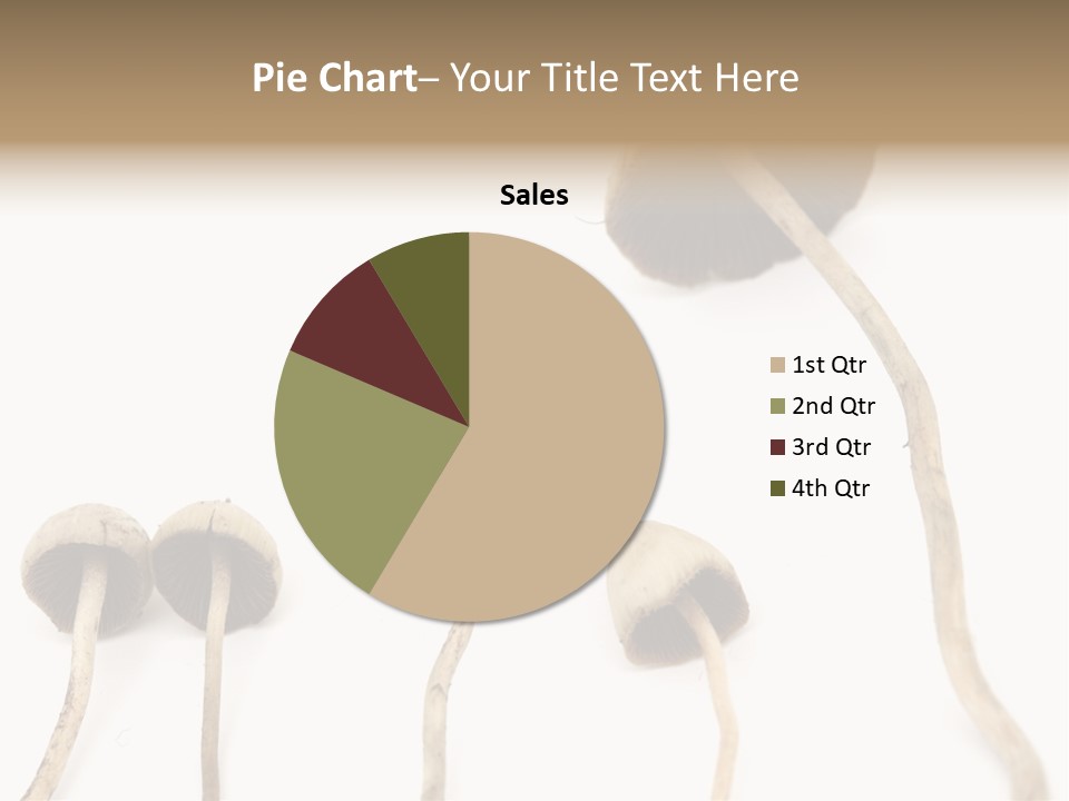 Fir Fungi Ritual PowerPoint Template
