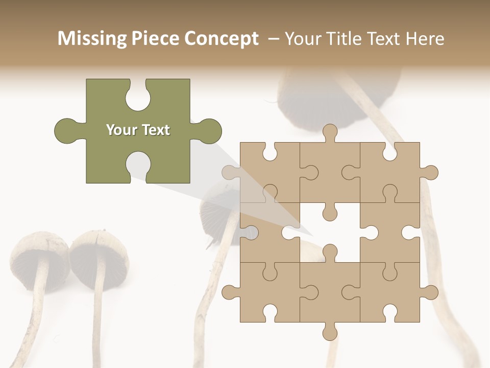 Fir Fungi Ritual PowerPoint Template