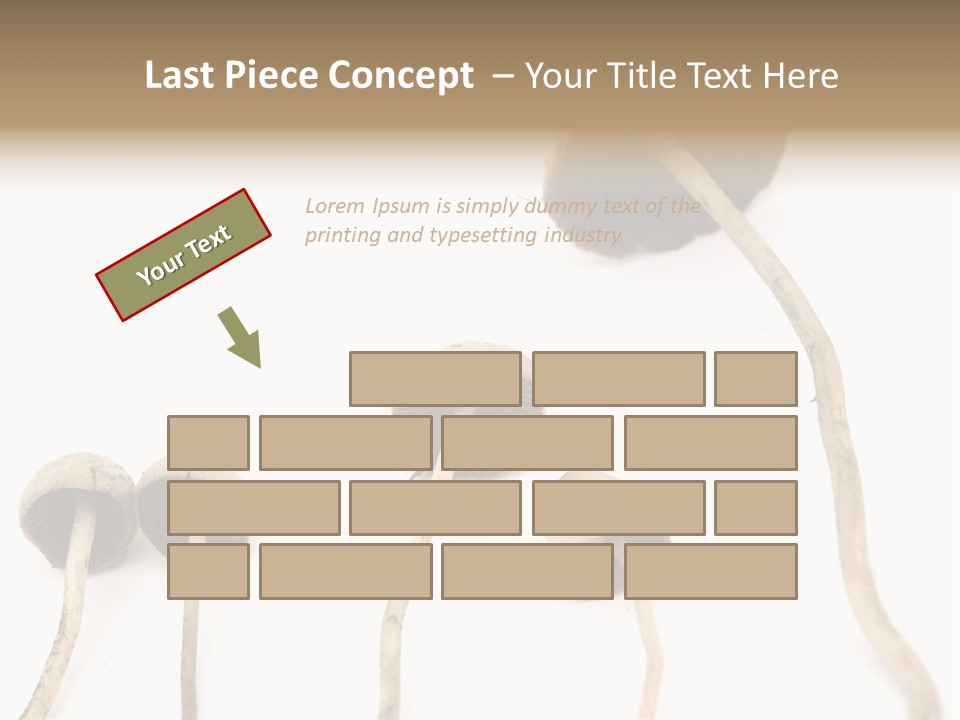 Fir Fungi Ritual PowerPoint Template