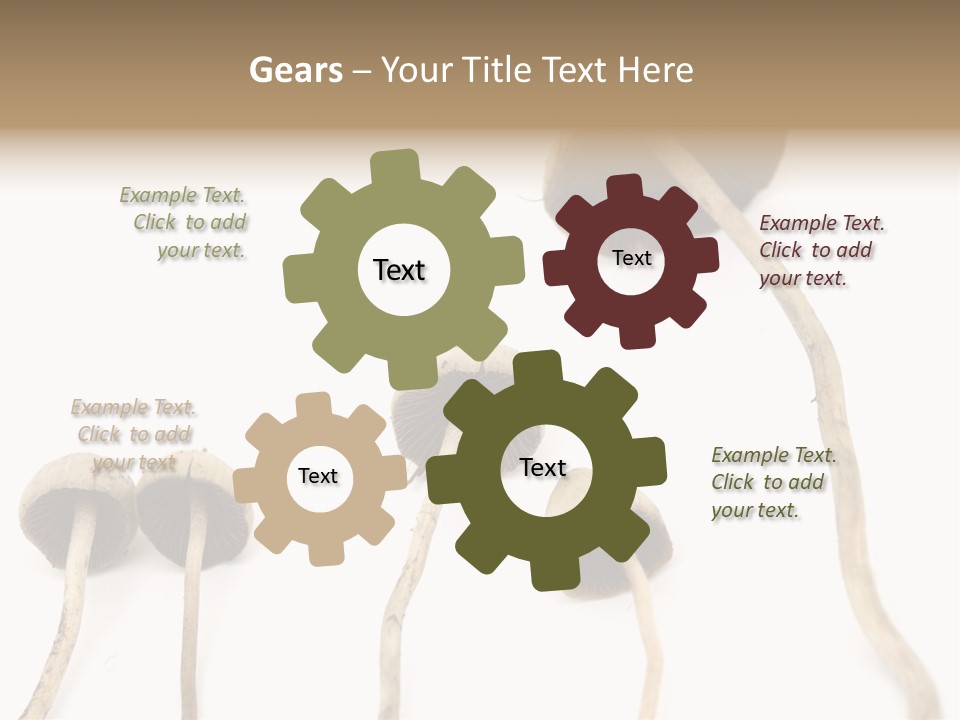 Fir Fungi Ritual PowerPoint Template