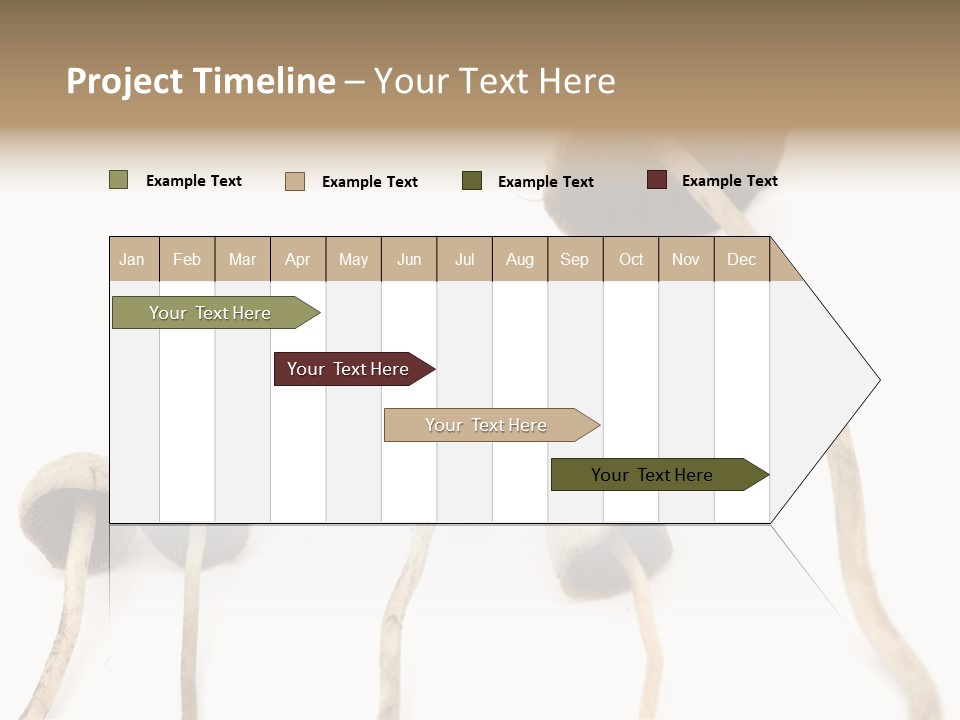 Fir Fungi Ritual PowerPoint Template