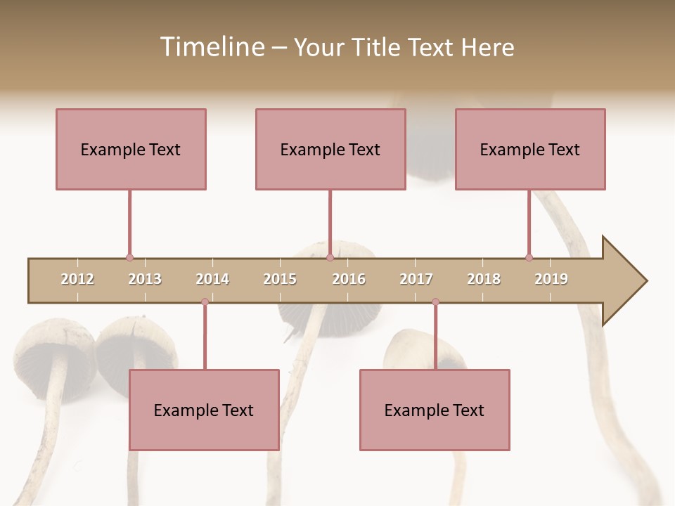 Fir Fungi Ritual PowerPoint Template