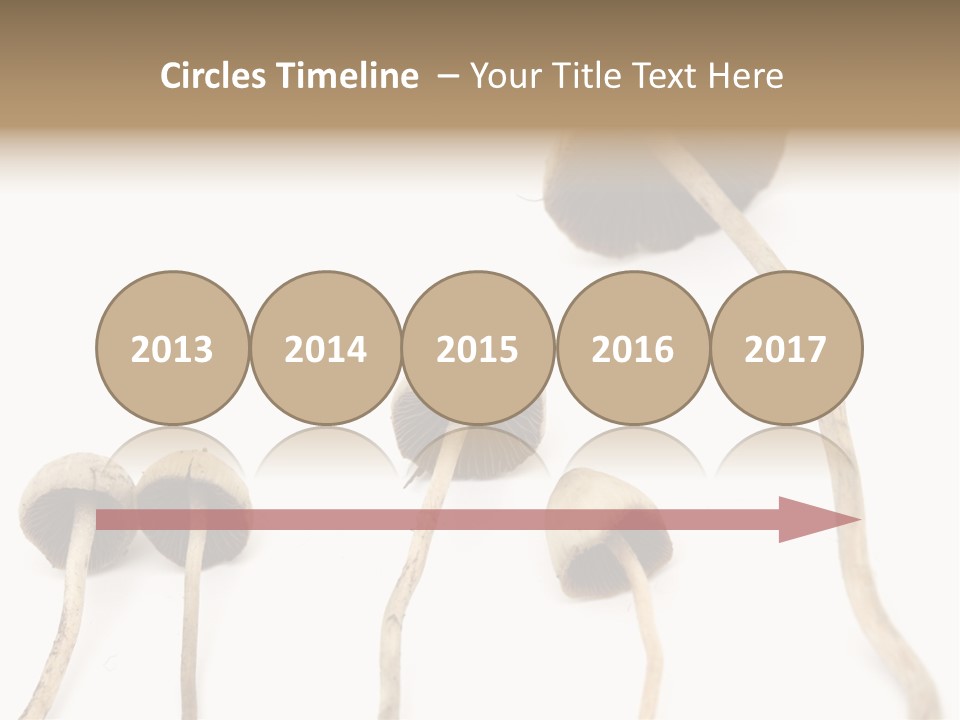 Fir Fungi Ritual PowerPoint Template