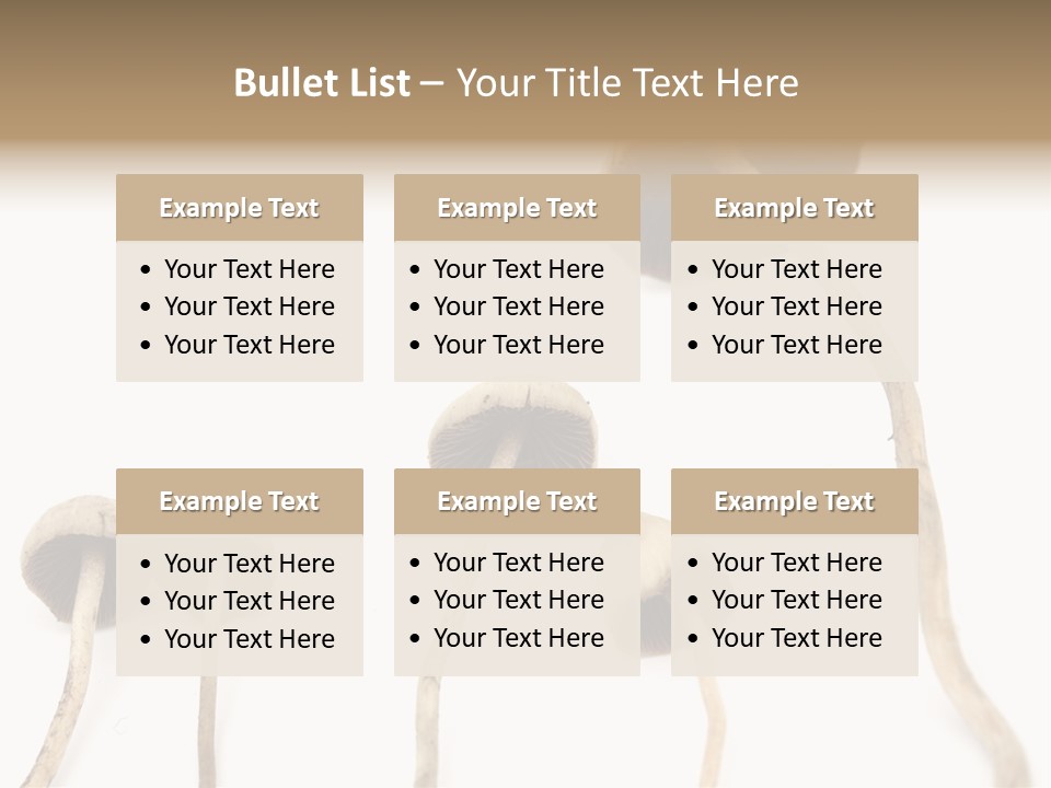 Fir Fungi Ritual PowerPoint Template