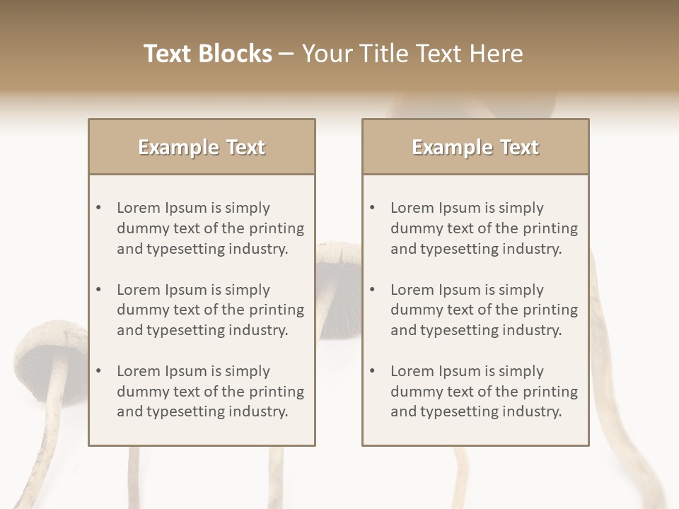 Fir Fungi Ritual PowerPoint Template