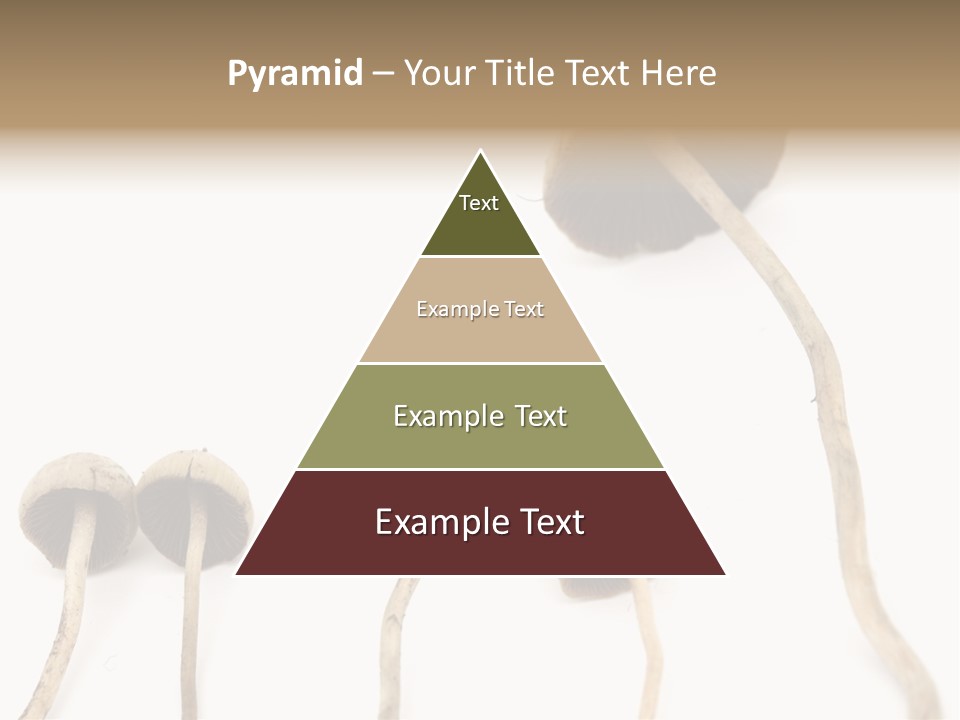 Fir Fungi Ritual PowerPoint Template