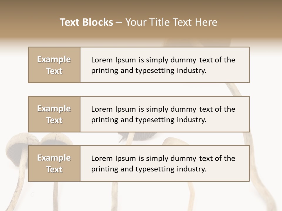 Fir Fungi Ritual PowerPoint Template