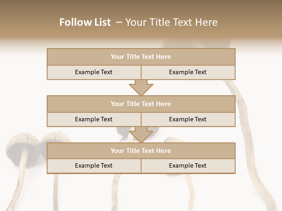 Fir Fungi Ritual PowerPoint Template