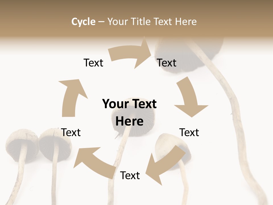 Fir Fungi Ritual PowerPoint Template