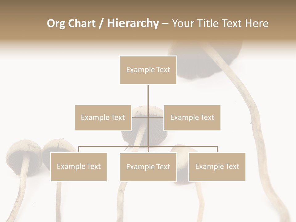 Fir Fungi Ritual PowerPoint Template
