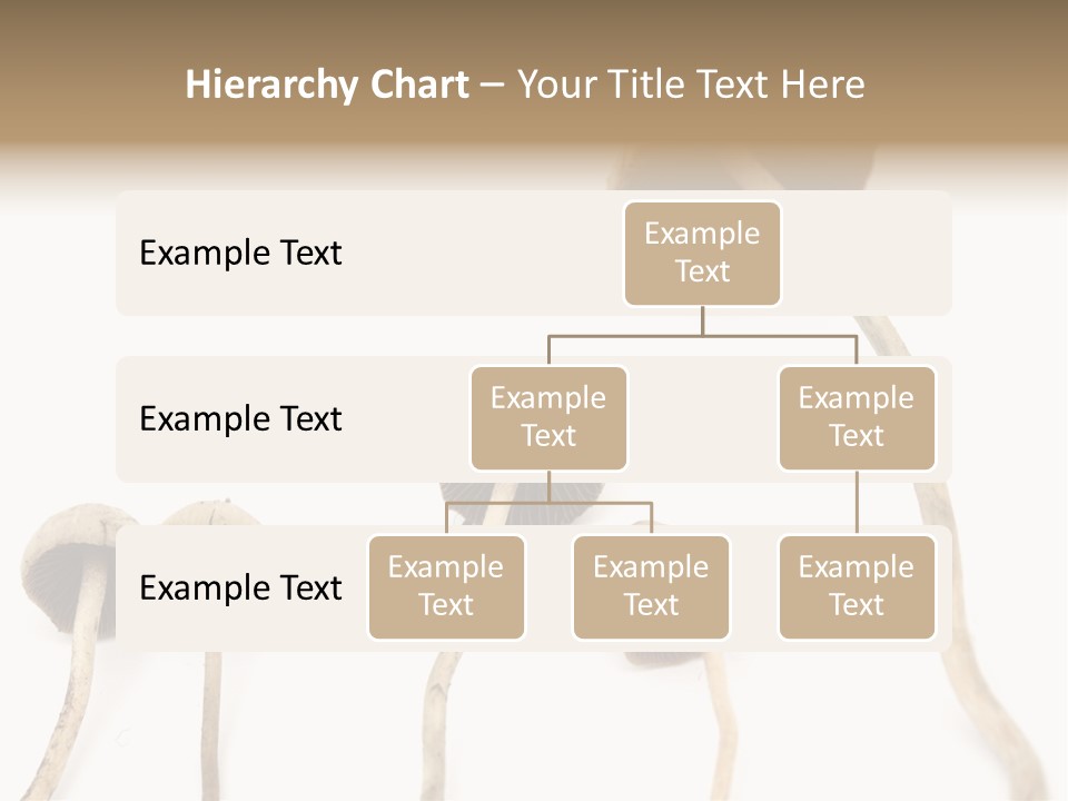 Fir Fungi Ritual PowerPoint Template