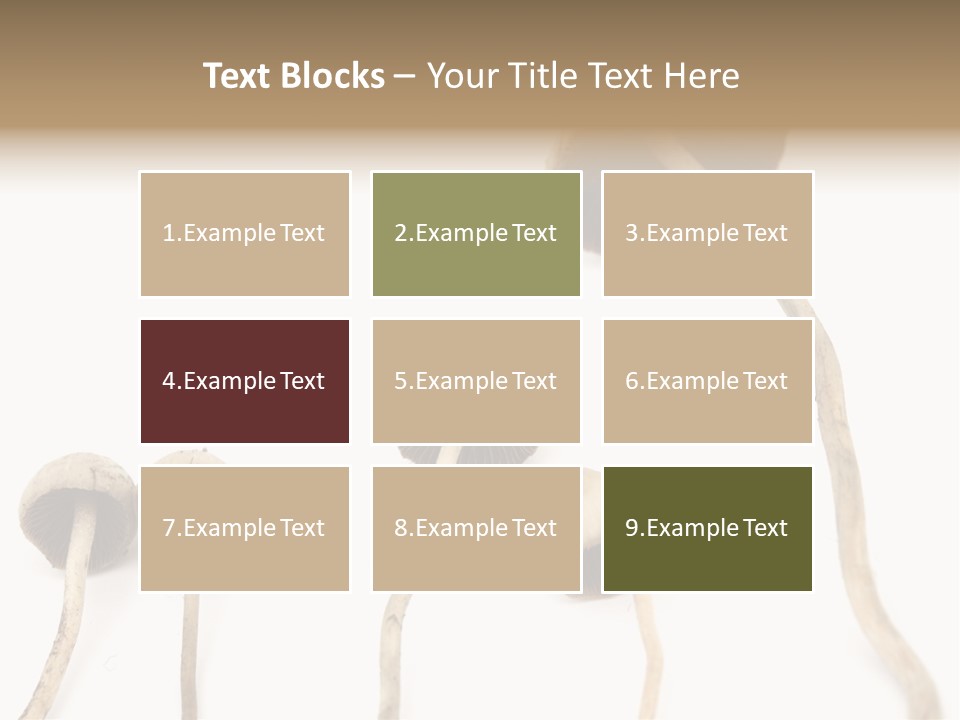Fir Fungi Ritual PowerPoint Template