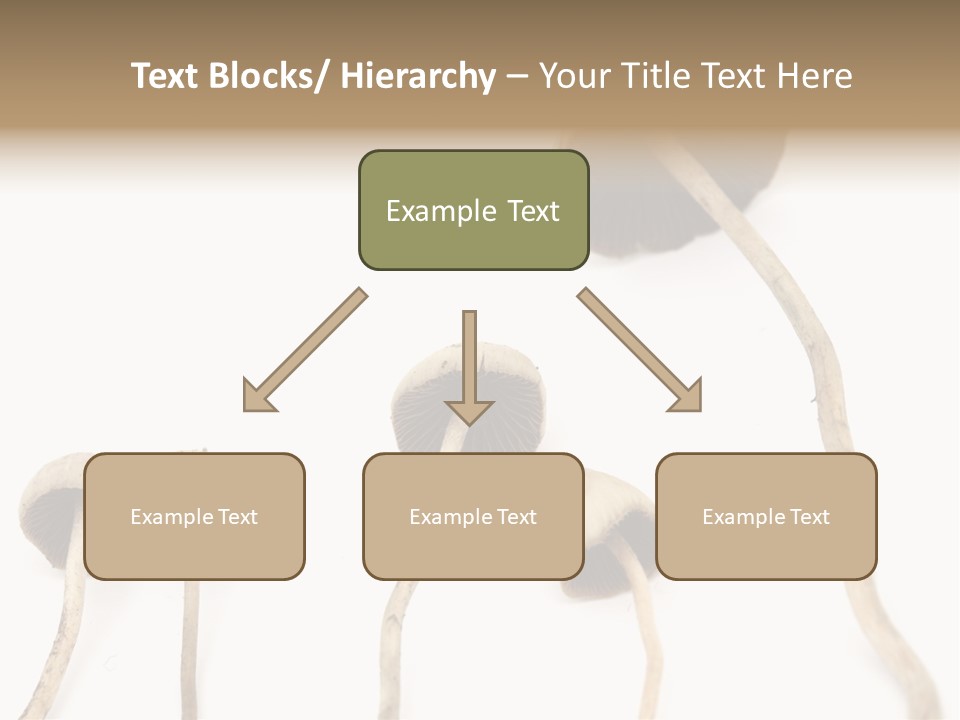 Fir Fungi Ritual PowerPoint Template