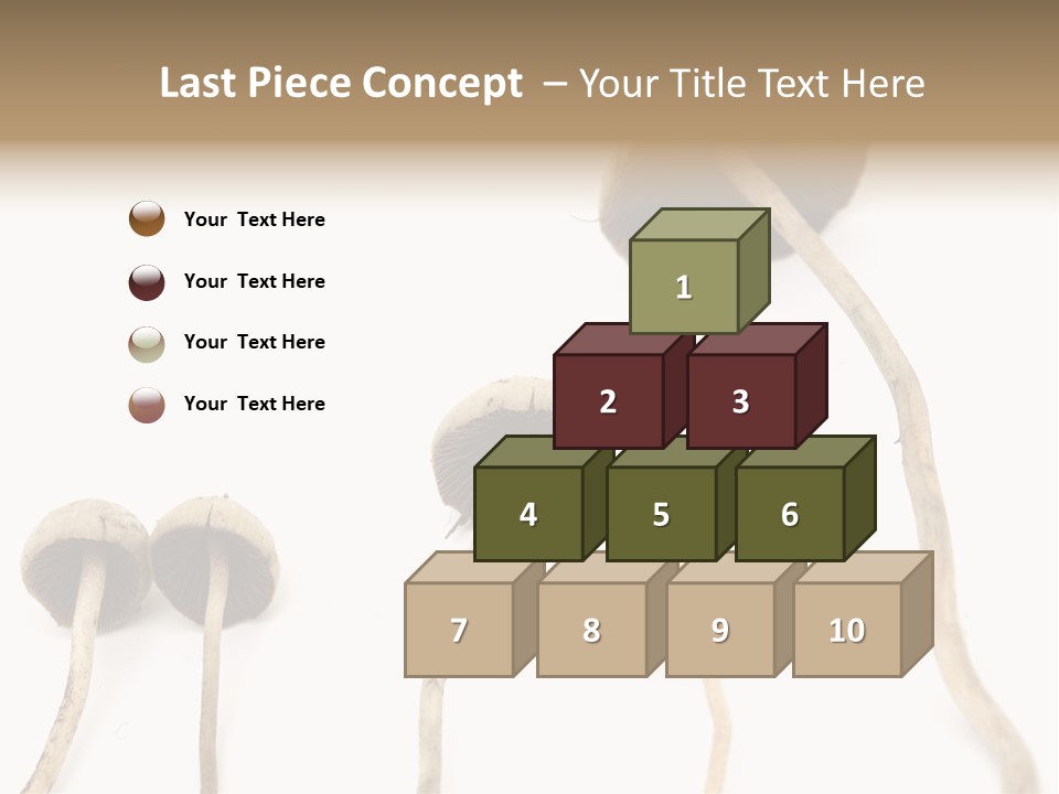 Fir Fungi Ritual PowerPoint Template