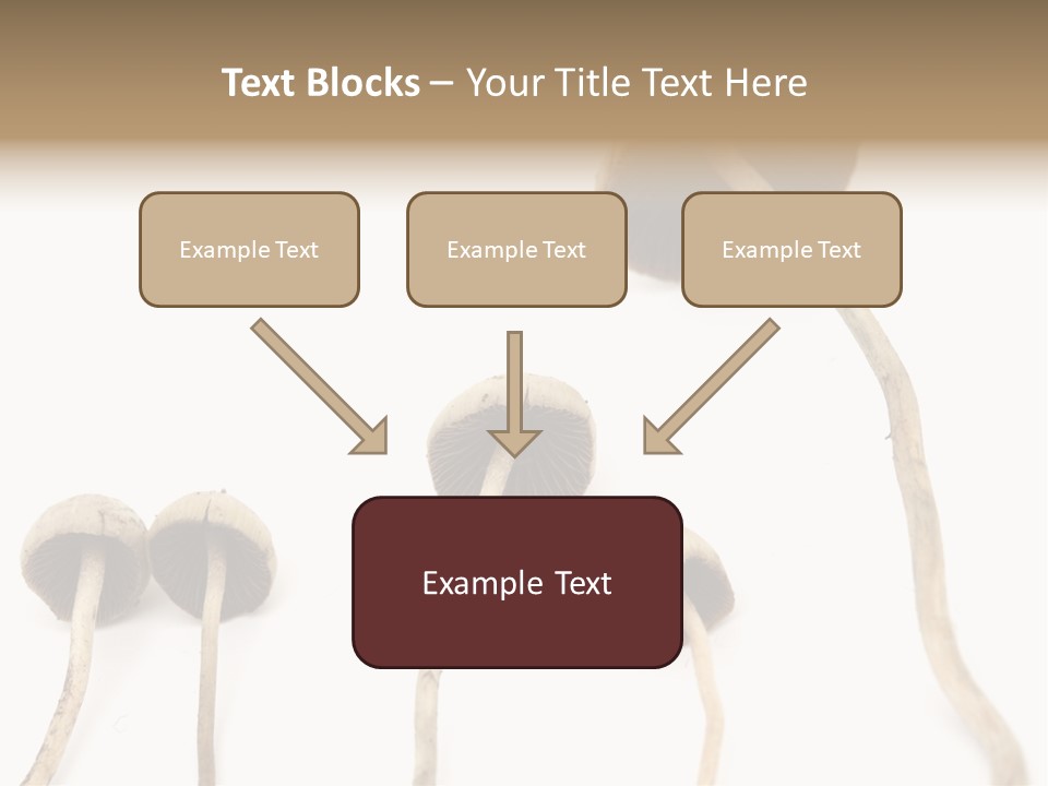 Fir Fungi Ritual PowerPoint Template