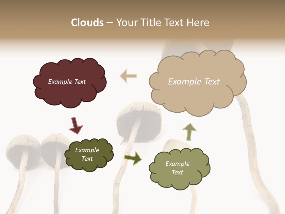 Fir Fungi Ritual PowerPoint Template
