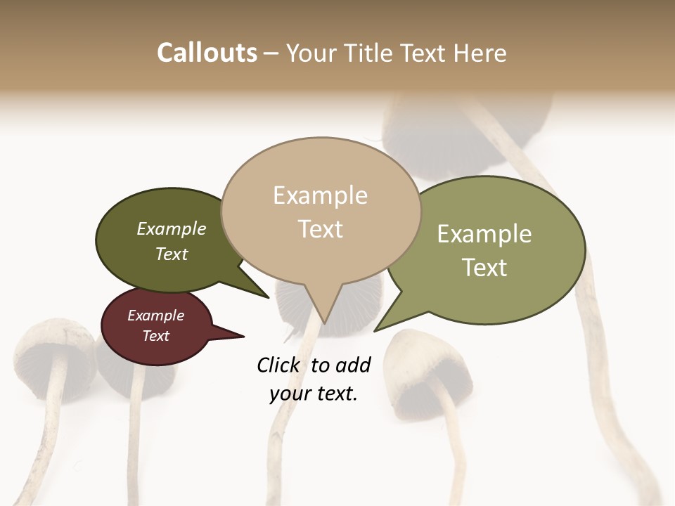Fir Fungi Ritual PowerPoint Template