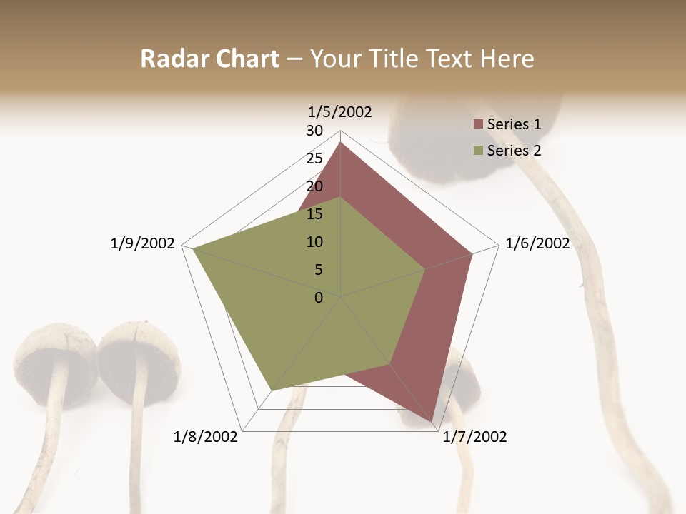 Fir Fungi Ritual PowerPoint Template