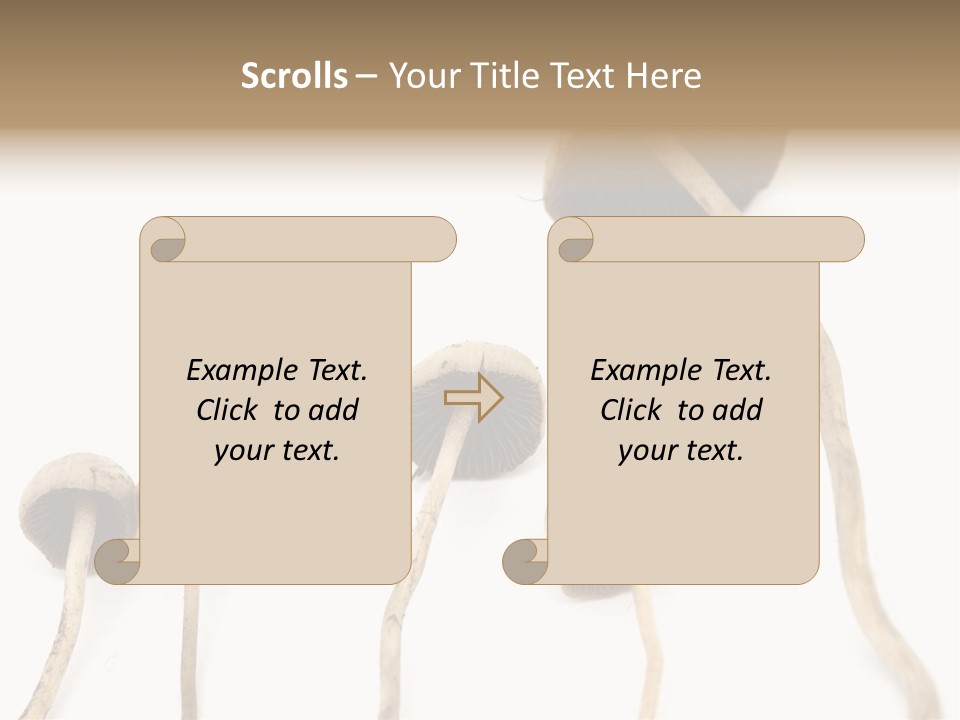 Fir Fungi Ritual PowerPoint Template