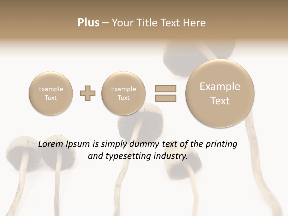 Fir Fungi Ritual PowerPoint Template