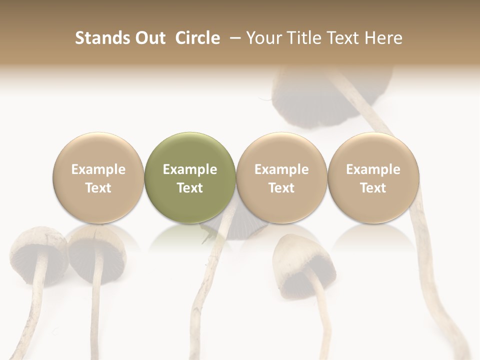 Fir Fungi Ritual PowerPoint Template