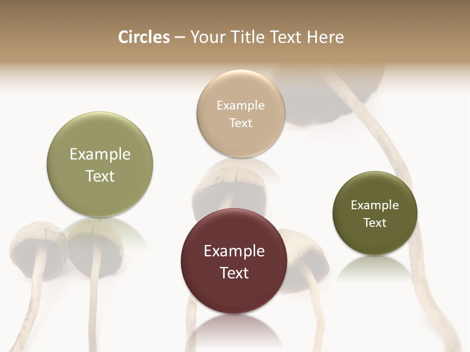 Fir Fungi Ritual PowerPoint Template