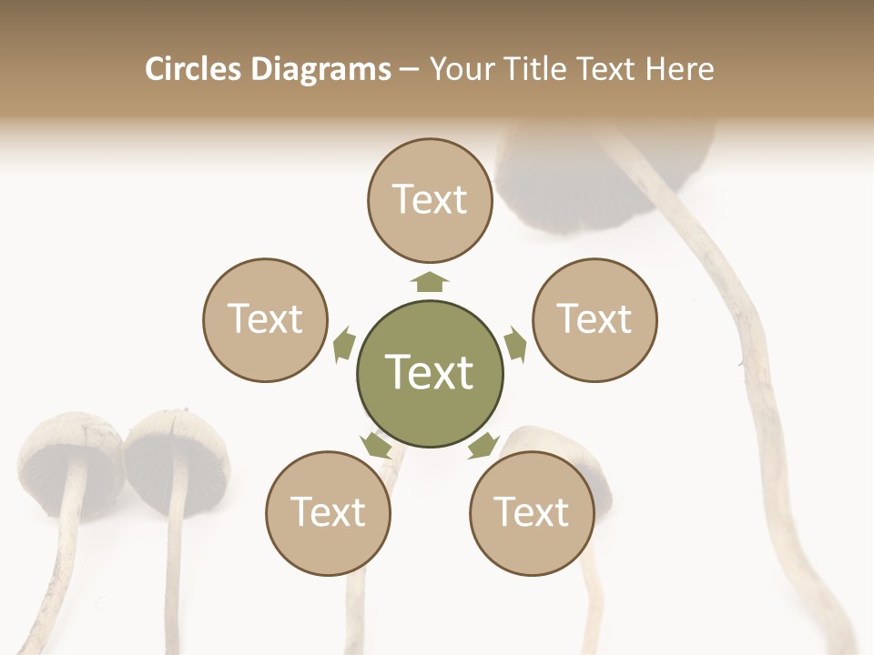 Fir Fungi Ritual PowerPoint Template