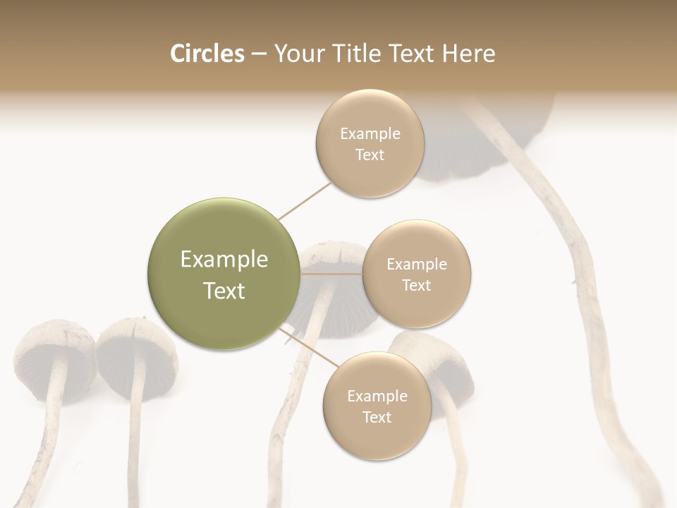 Fir Fungi Ritual PowerPoint Template