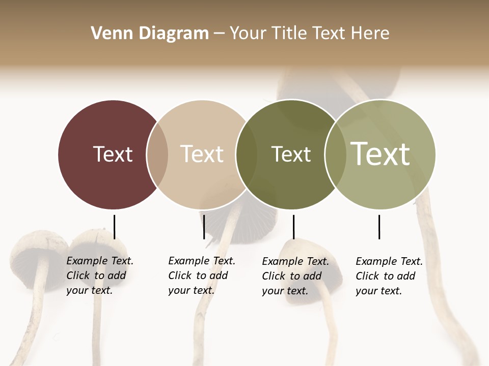 Fir Fungi Ritual PowerPoint Template