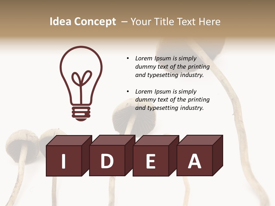 Fir Fungi Ritual PowerPoint Template