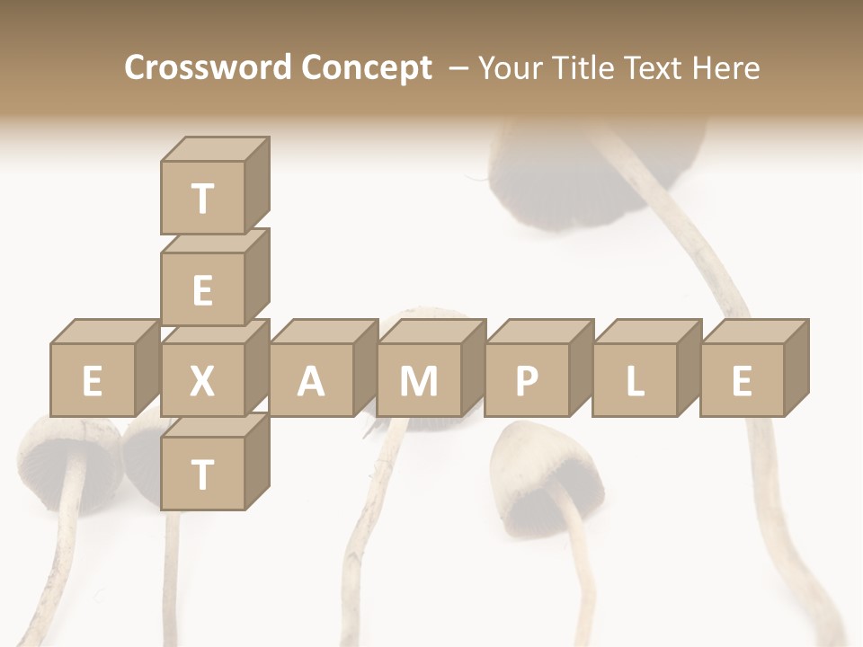 Fir Fungi Ritual PowerPoint Template