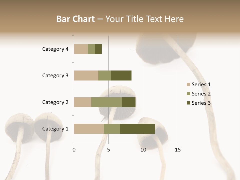 Fir Fungi Ritual PowerPoint Template