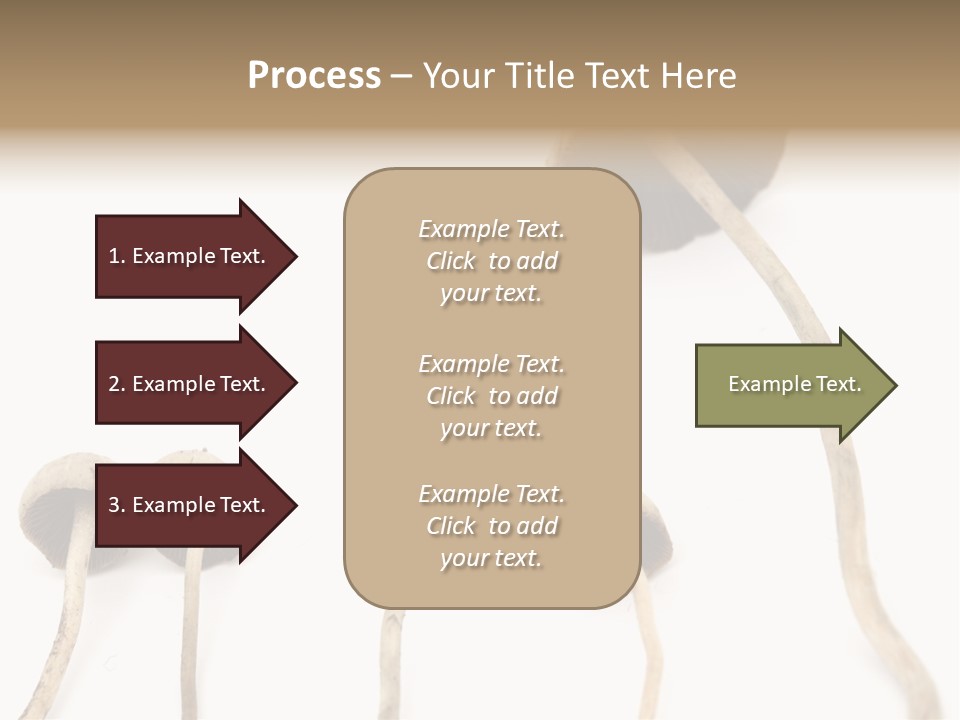 Fir Fungi Ritual PowerPoint Template