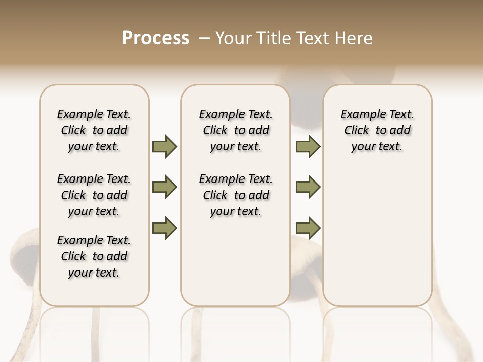 Fir Fungi Ritual PowerPoint Template