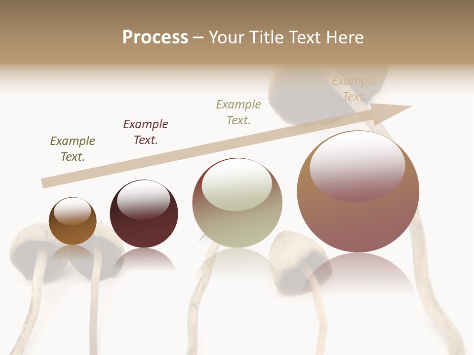 Fir Fungi Ritual PowerPoint Template