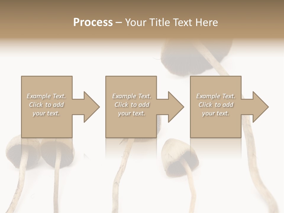 Fir Fungi Ritual PowerPoint Template