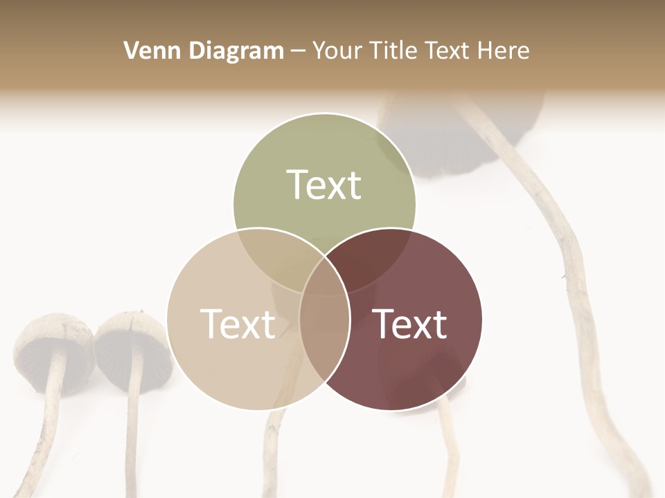 Fir Fungi Ritual PowerPoint Template