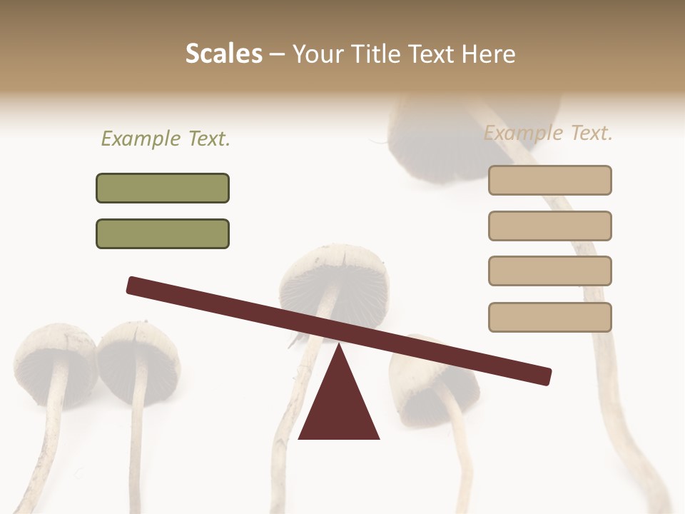 Fir Fungi Ritual PowerPoint Template